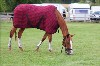 UKPA  NC Sat_1577